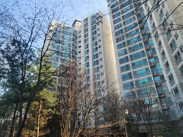신대림 한솔 솔파크 경매 물건 사진