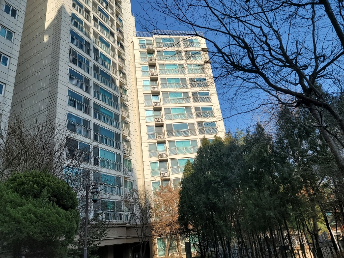 신대림 한솔 솔파크 경매 물건 사진